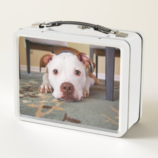 Pitbull (Achterkant)