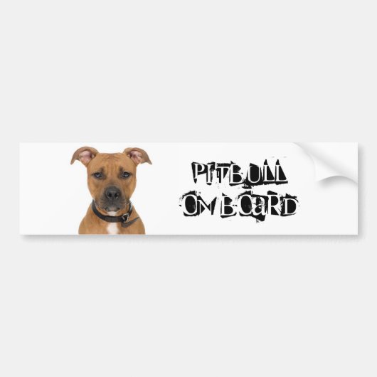 Pitbull aan boord bumpersticker (Voorkant)