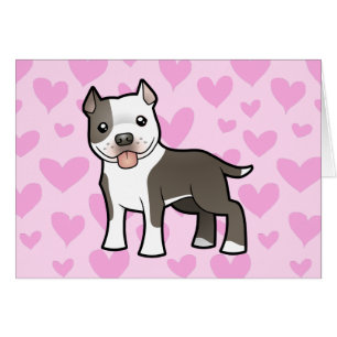 Pitbull/amour Staffordshire Terrier américain