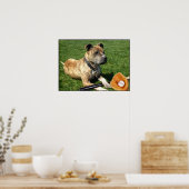 Pitbull avec affiche de baseball (Cuisine)