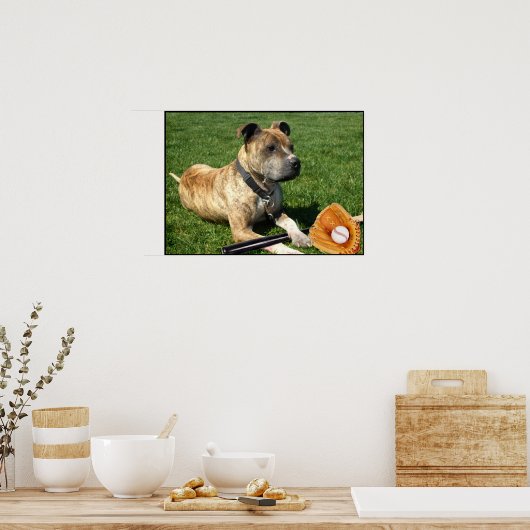 Pitbull avec affiche de baseball (Cuisine)