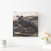 Pitbull avec horloge murale de skateboard (Maison)