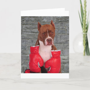 Pitbull Boxer Kaart