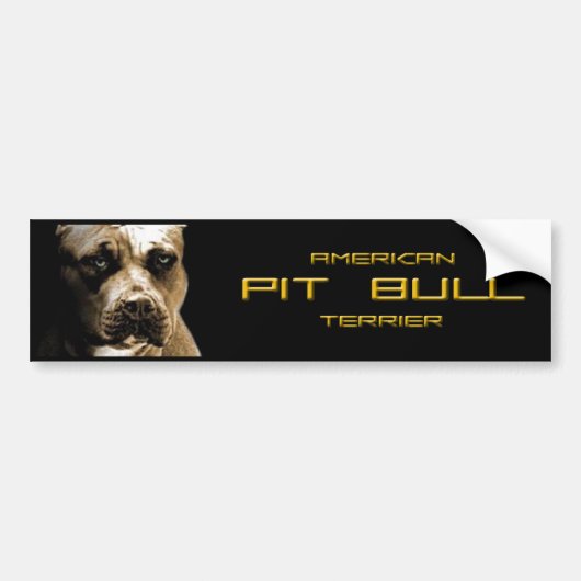 PITbull Bumpersticker (Voorkant)