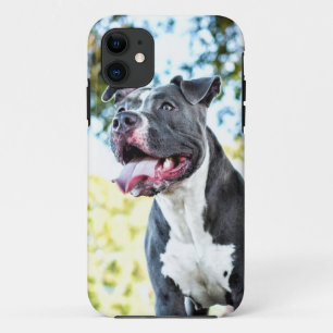 Pitbull iPhone 11 Hoesje
