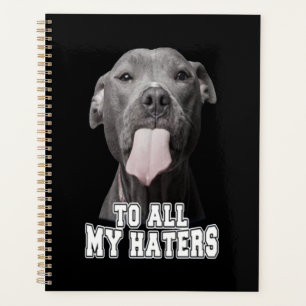 Pitbull chien à toutes mes haines