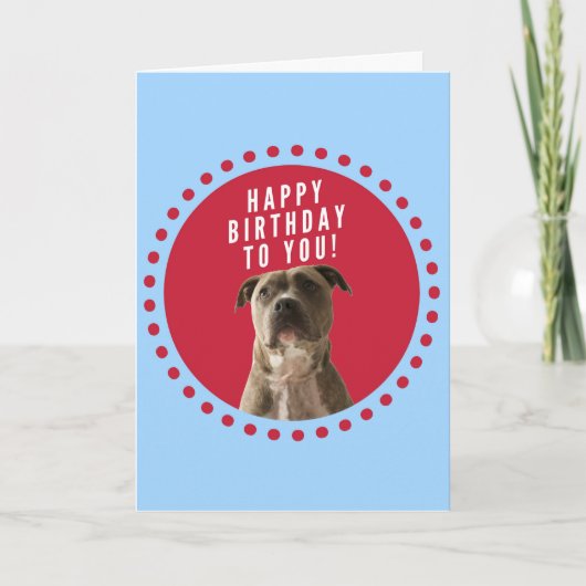 Pitbull Chien Bonne Carte de voeux d'anniversaire  (Devant)