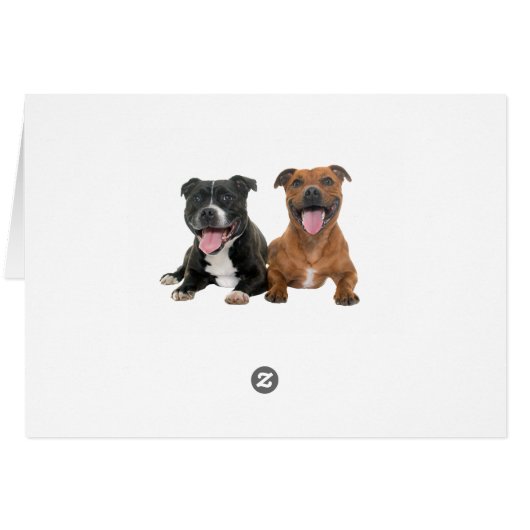 Pitbull Chien Chien Chien Bonsoir Mlle Vous Aimez (Dos Horizontal)