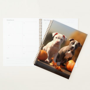 Pitbull Chiot Automne Citrouille de plaisir