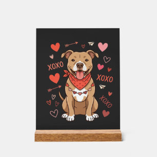 Pitbull de la Saint-Valentin XOXO Design d'amour