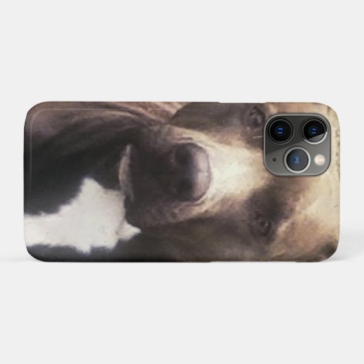 Pitbull Dog aangepaste foto Case-Mate iPhone Case (Achterkant (horizontaal))