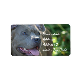 Pitbull Dog Etiket