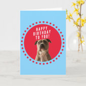Pitbull Dog Happy Birthday Blue Wenskaart Kaart (Gele Bloem)