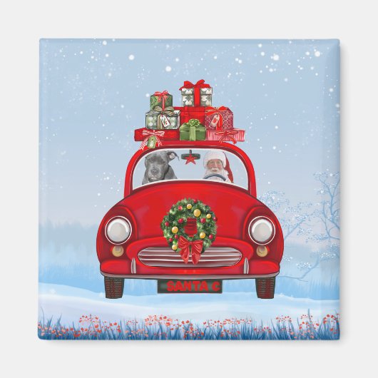 Pitbull Dog in auto met kerstman Magneet (Voorkant)