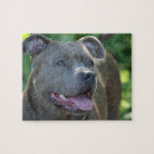 Pitbull Dog Legpuzzel (Horizontaal)