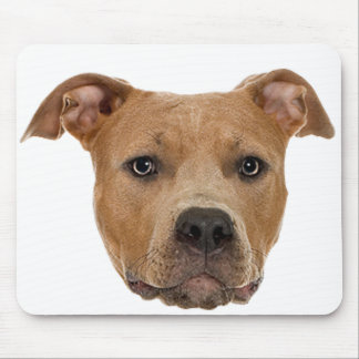 Pitbull Dog Muismat