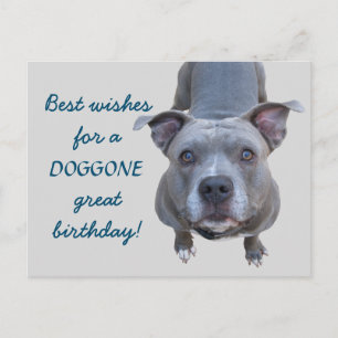 Pitbull Doggone Grote Verjaardag Briefkaart