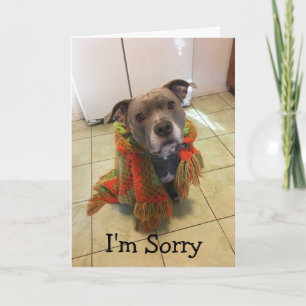 Pitbull Doghouse Het spijt me Kaart
