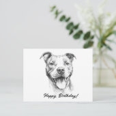 Pitbull Draw noir et blanc carte d'anniversaire (Debout devant)