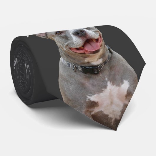 Pitbull Ear to Ear Smile Necktie Stropdas (Opgerold)