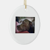 Pitbull Eyes Keramisch Ornament (Rechts)