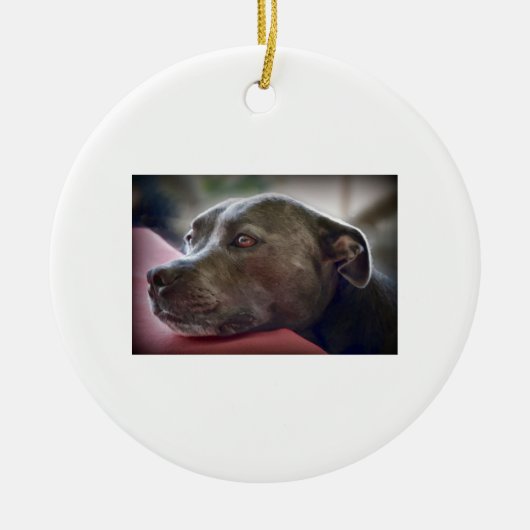 Pitbull Eyes Keramisch Ornament (Voorkant)