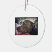 Pitbull Eyes Keramisch Ornament (Links)