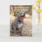 Pitbull faire un pari carte d'anniversaire (Fleur jaune)