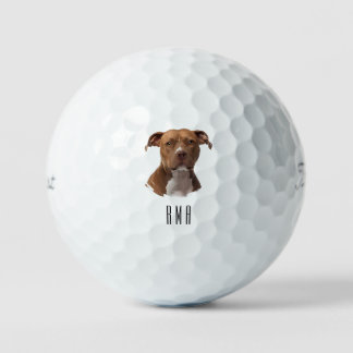 Pitbull Golfballen