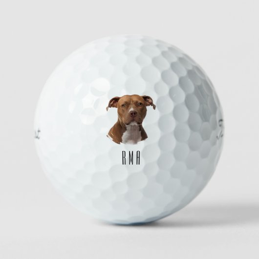 Pitbull Golfballen (Voorkant)