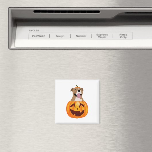Pitbull Halloween Magneet (Insitu (Vaatwasser))