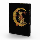 Pitbull hond en maan fotoblokken (Rechts)