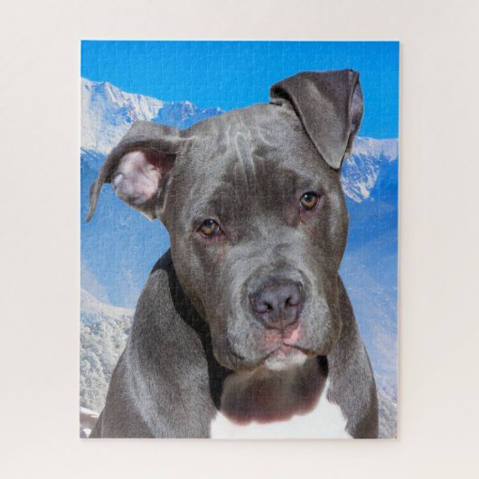Pitbull-hond. Legpuzzel (Verticaal)