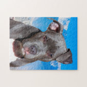 Pitbull hond. legpuzzel (Horizontaal)