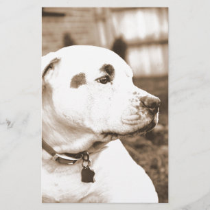 pitbull hond sepia kleur haat daad niet ras briefpapier