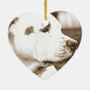pitbull hond sepia kleur haat daad niet ras keramisch ornament