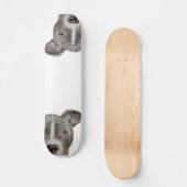 Pitbull Illustration Skateboard op miart (Voorkant)