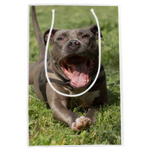 Pitbull in de gras Foto bewerken Medium Cadeauzakje