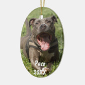 Pitbull in gras keramisch ornament (Links)