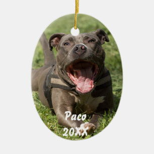 Pitbull in gras keramisch ornament