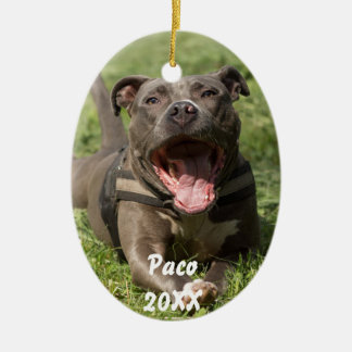 Pitbull in gras keramisch ornament