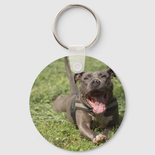 Pitbull in gras sleutelhanger (Voorkant)