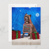 pitbull-kerstmis feestdagenkaart (Voorkant / Achterkant)