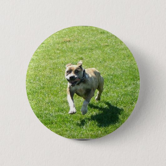 Pitbull-knop Ronde Button 5,7 Cm (Voorkant)