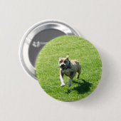 Pitbull-knop Ronde Button 5,7 Cm (Voorkant /achterkant)