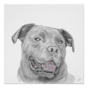 Pitbull Kunsttekening Amerikaanse Staffordshire Te Perfect Poster