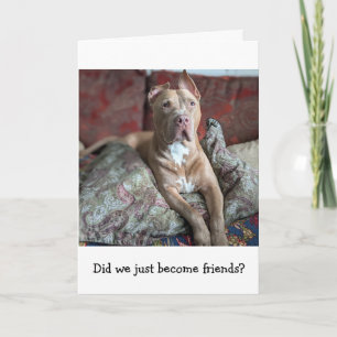 Pitbull Liefde Denk Aan Jou Kaart