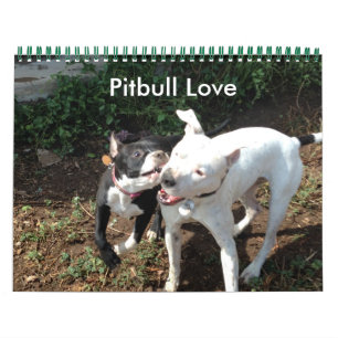 Pitbull Love Calendar Kalender