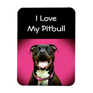Pitbull Love Magneet