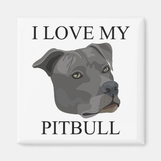 PITBULL Love Magneet